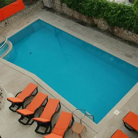 Hotel Tulip