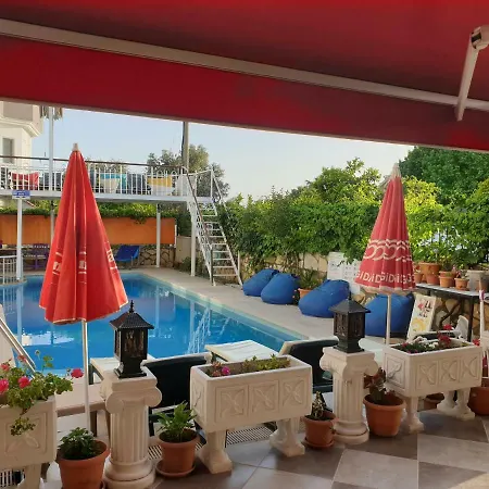 Tulip Hotel 4*