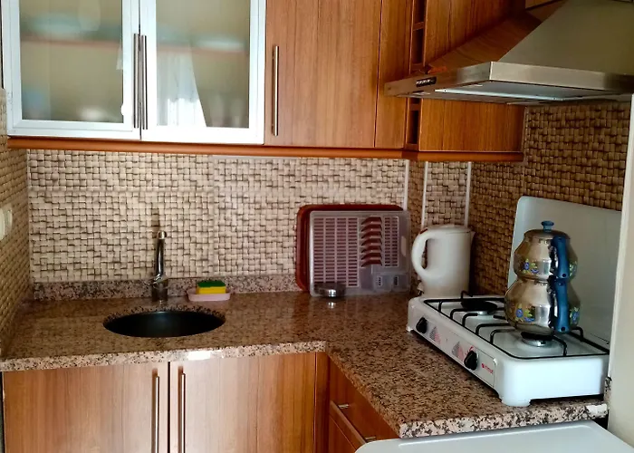 ホテル Tulip ダルヤン